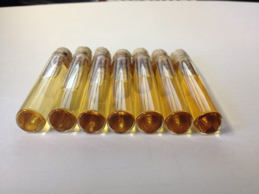 Vials Bottom View